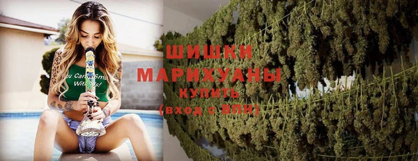 ГАЛЛЮЦИНОГЕННЫЕ ГРИБЫ Медногорск