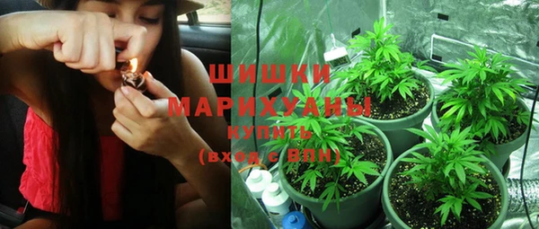 трава Медвежьегорск