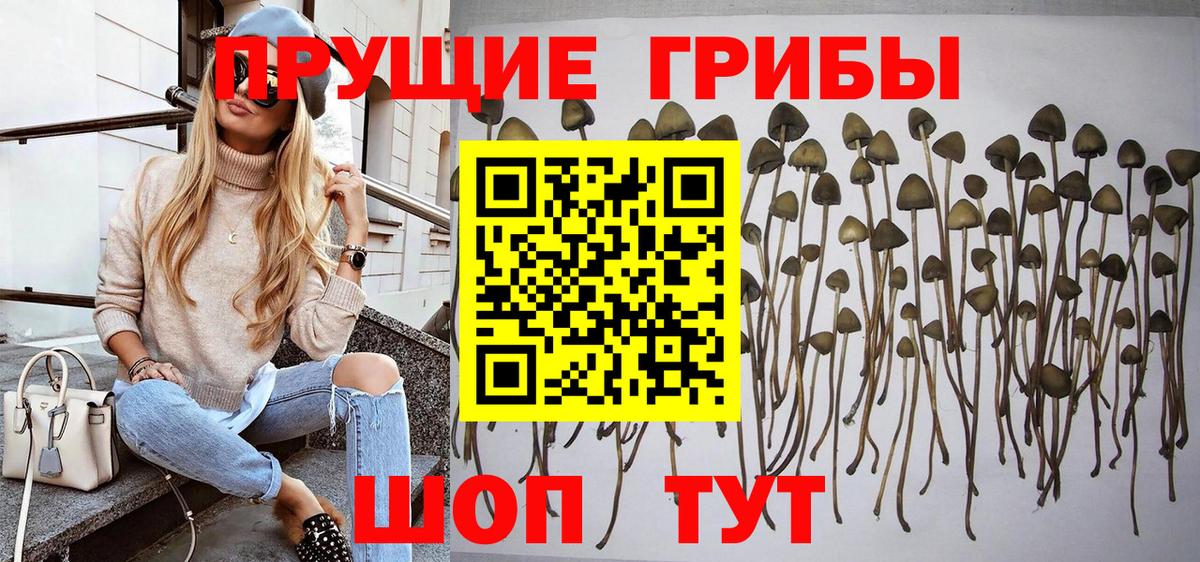 Когалым  Псилоцибиновые грибы мицелий  Вход с VPN  купить   Галлюциногенные грибы Magic Shrooms 